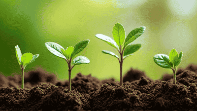 Environmental planting techniques: recycling and composting