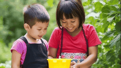 How to Establish a Learning Garden Suitable for Children