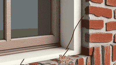 The Importance of Sealing Cracks to Prevent Pest Entry
