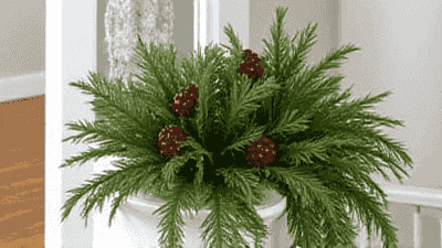 Winter Greenery: Using Evergreen Foliage in Your Decor
